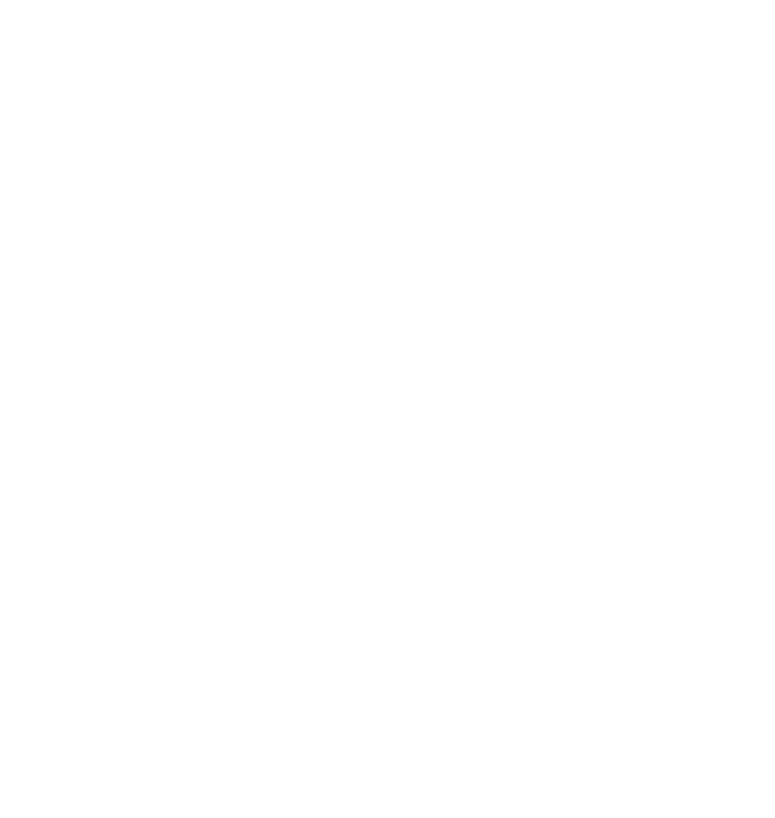 nafisa-logo-1