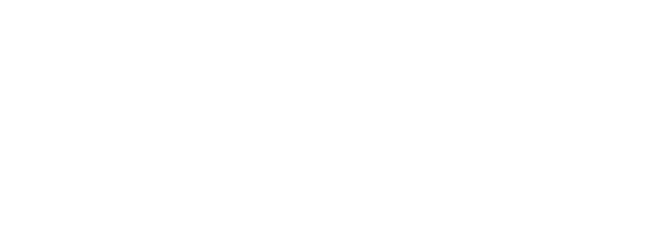 nafisa-logo-2